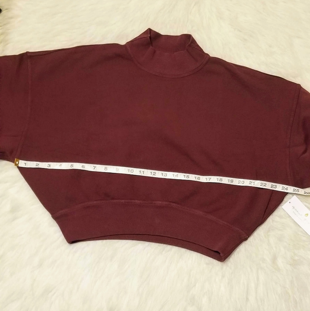 SPIRITUAL GANGSTER Blake Mock Neck Crop Sweatshirt - Picture 13 of 14